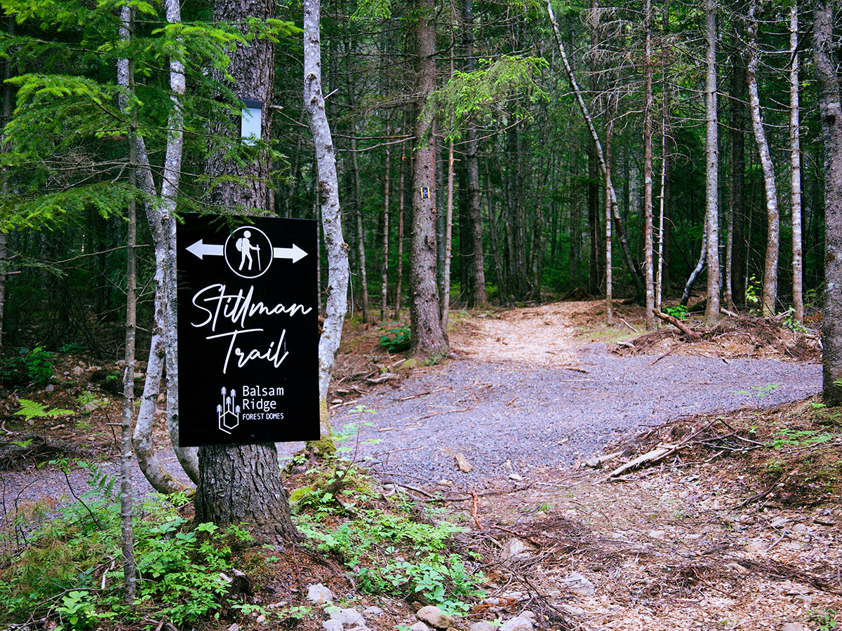 Balsam Ridge Forest Domes Stillman Trail