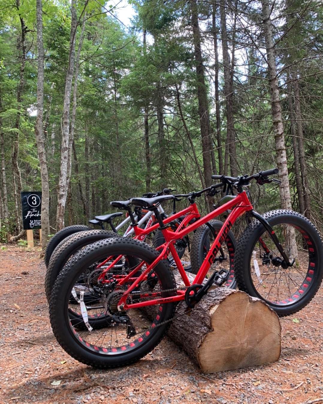 Fat store bike stand