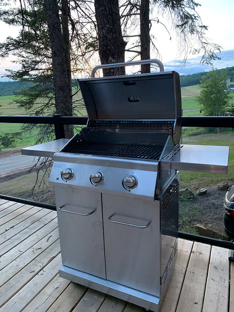 Farmhouse Dome BBQ