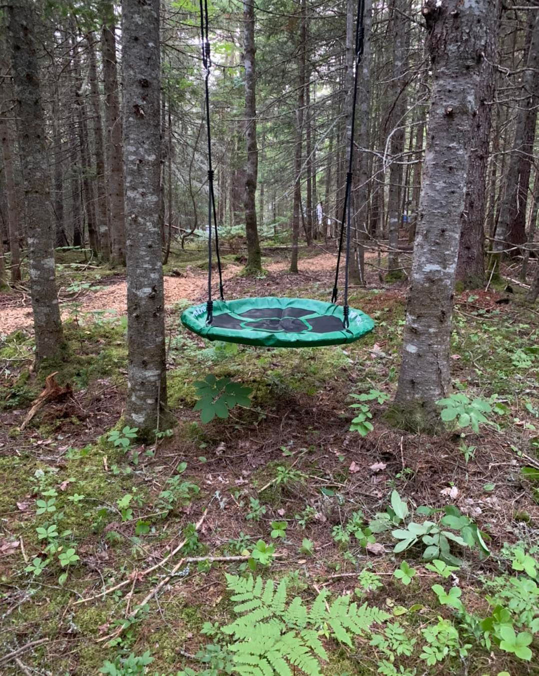 Forest Domes Trail Swing #1