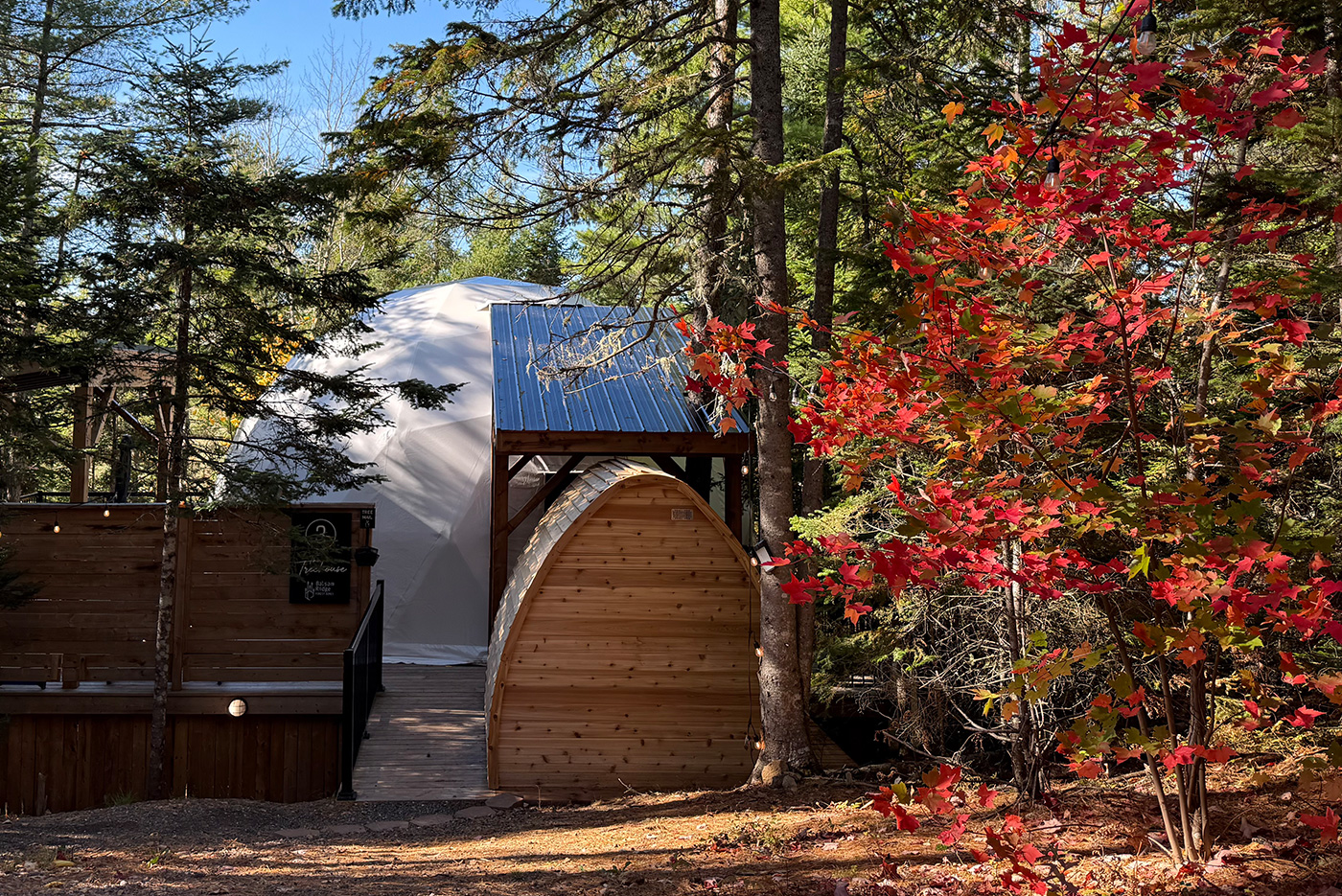Fall Treehouse with Sauna Fall Treehouse with Sauna