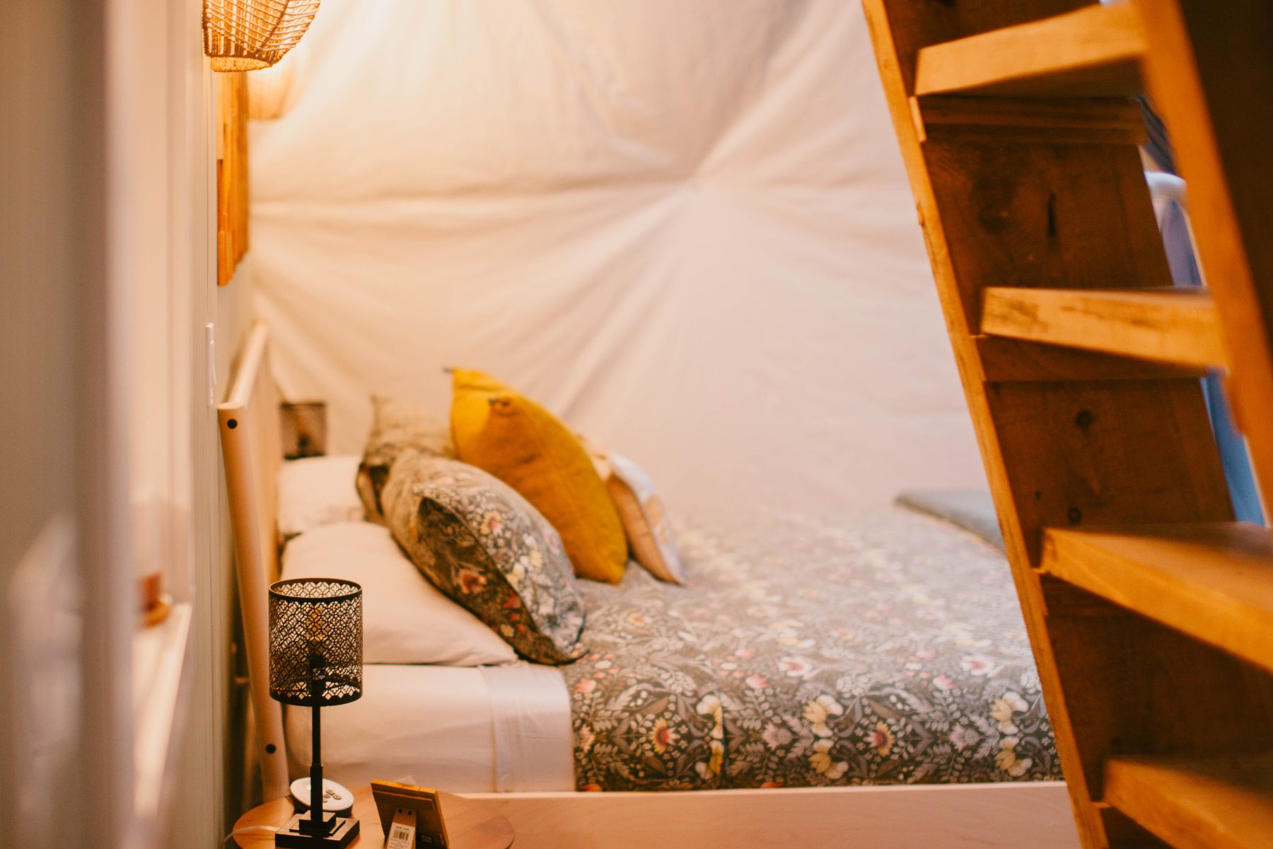 Mossy Log Dome Bed