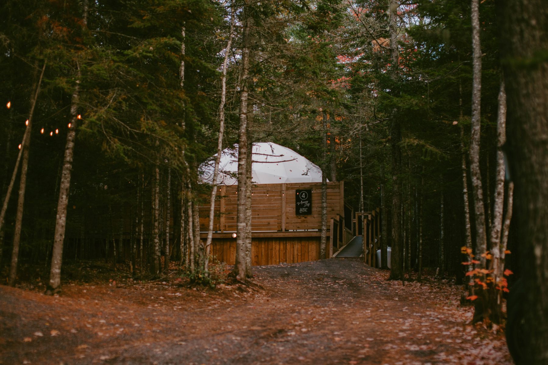 Mossy Log Dome Exterior in Autumn