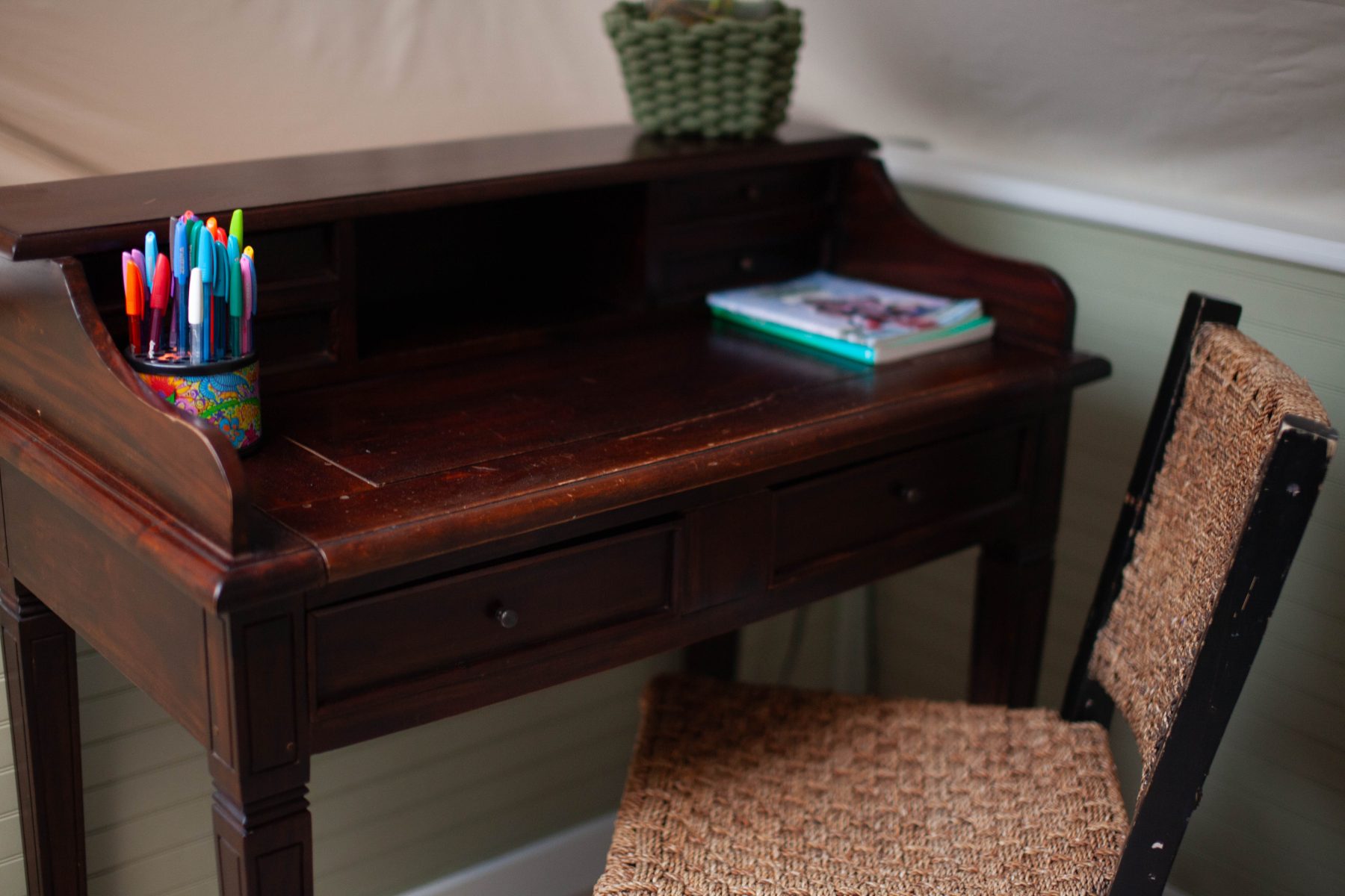 Mossy Log Dome Loft Desk
