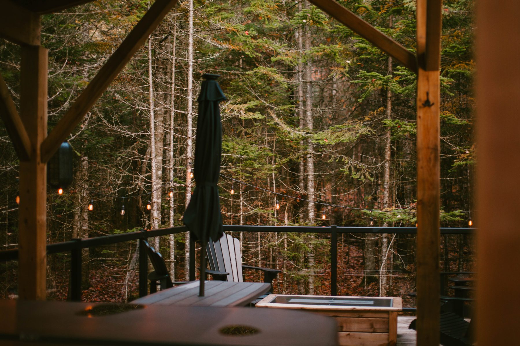 Mossy Log Dome View