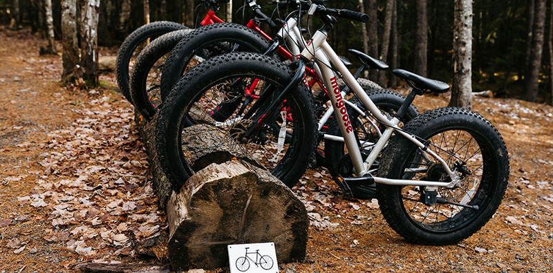 Fat bike bicycles on a log storage in the forest.