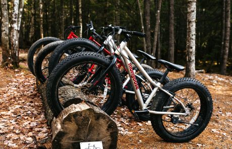 Picture of fat bikes for trail usage.