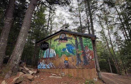 Maple House Wall Mural