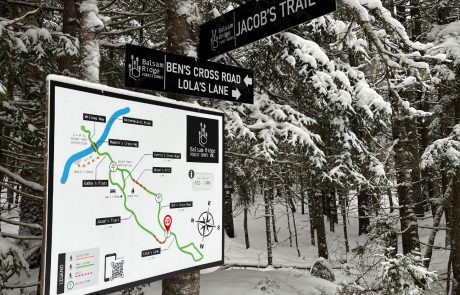 A large map with trail signs in the forest.