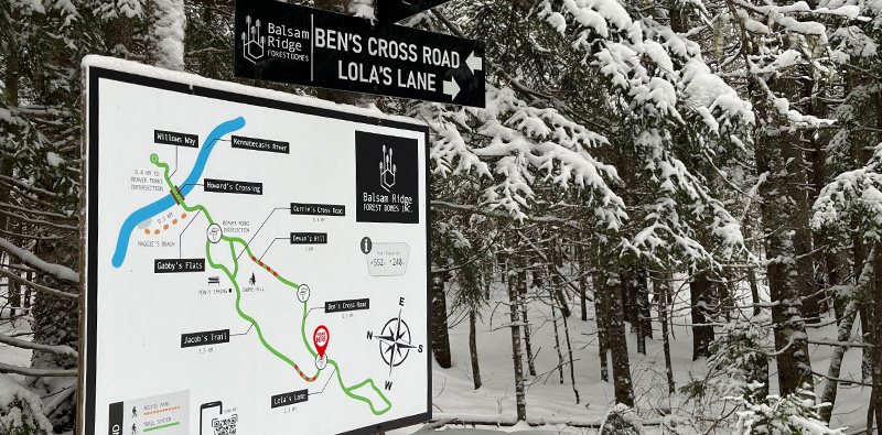 A large map with trail signs in the forest.
